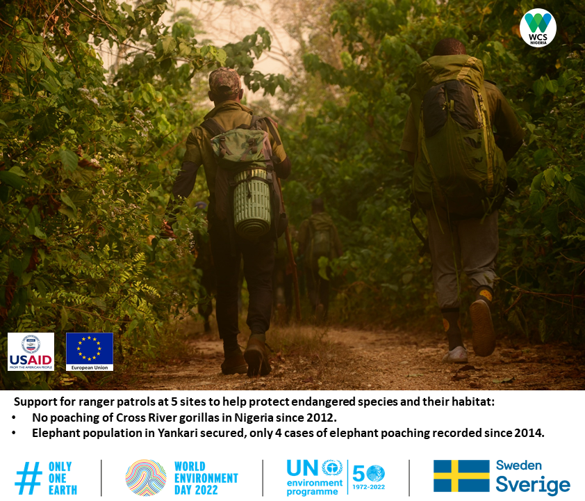 WCS_Nigeria's tweet photo. Ranger patrols help protect forests, wildlife and watersheds.  Their presence helps improve security for surrounding communities.  This #wed2022 let us thank our rangers for everything that they do for our planet https://t.co/pcSlg2YYj9