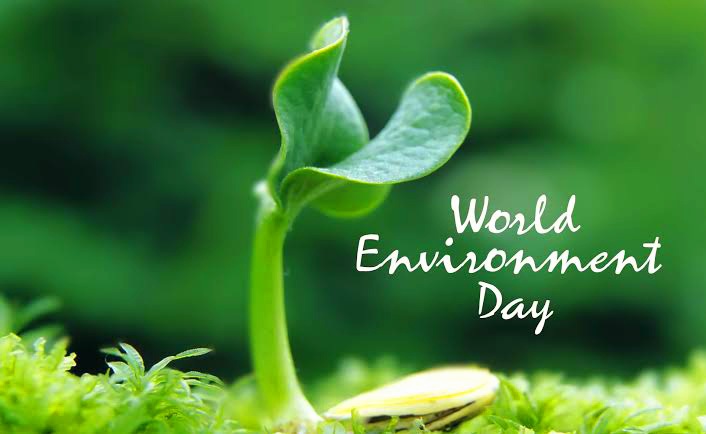 Happy World Environment Day 🌍 Only One Earth 🌴
Not Yours Nor Mine, It's Ours, So, Protect, Let The Peace Of Nature Flow In Your Life On World Environment Day And Always 'Living Sustainably in Harmony with Nature”
#SaveThePlanet #SaveWildLife #SaveWildLifeHabitat #SaveOceanLife