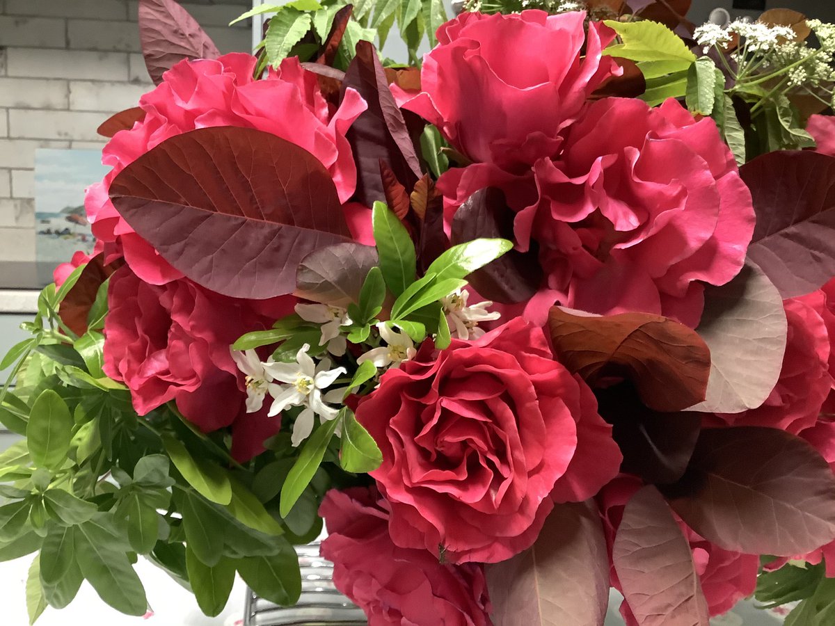 CottageMarketNB tweet media