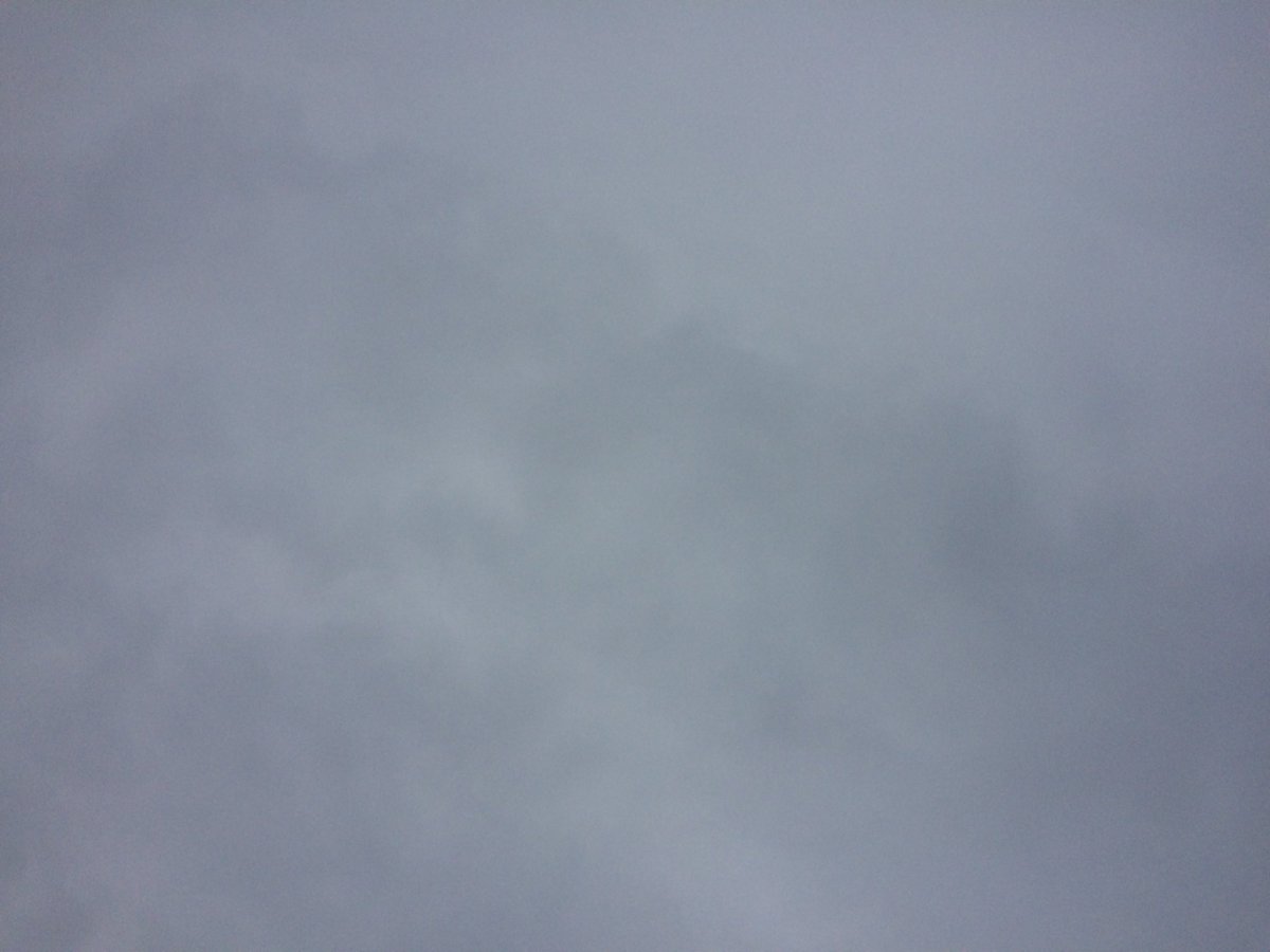 CottageMarketNB tweet media