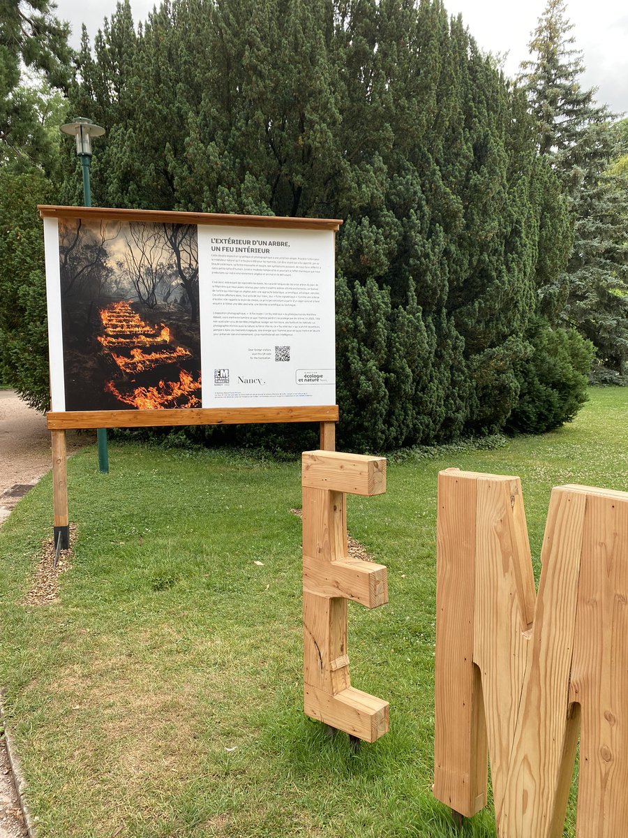 BullierSemezis's tweet photo. #JourneeDelEnvironnement A @VilledeNancy l'arbre comme médiateur entre l'homme et la nature. Et les ravages du feu 🔥 https://t.co/4ovtZwOs3n