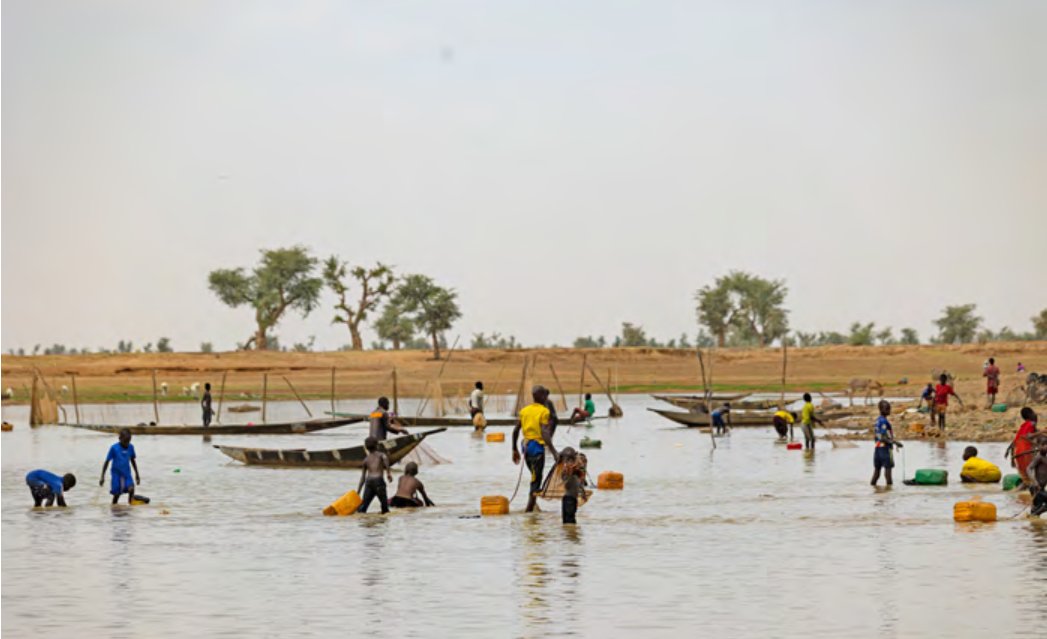 Peace often relies on our relationship with natural #environment. No one knows this more than communities in the #Mali Inner Niger Delta, who are facing competition over resources provided by the #NigerRiver. Read our latest report: bit.ly/3NXLYvl #WorldEnvironmentDay