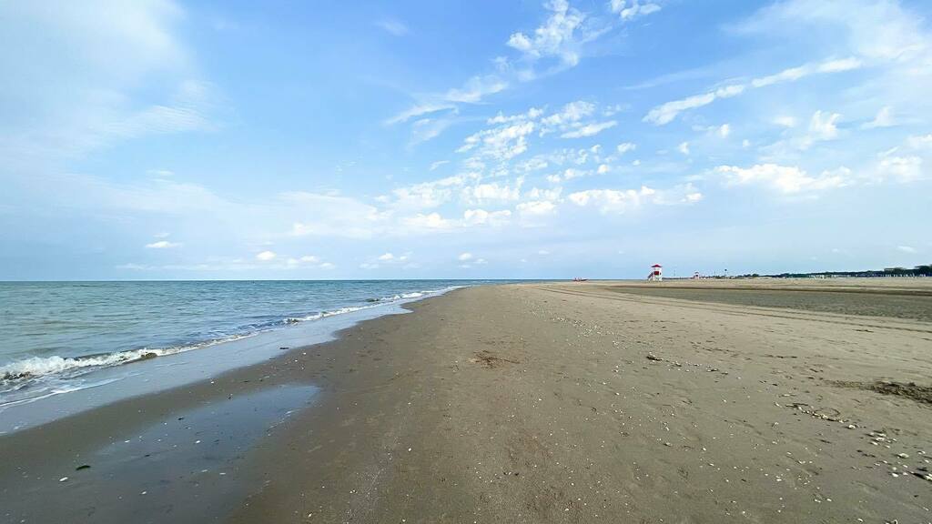 michianderle's tweet photo. il mare - das Meer
la spiaggia - der Strand
il vuoto - die Leere https://t.co/YezTr6n8Ug https://t.co/z8qG6GKeM7