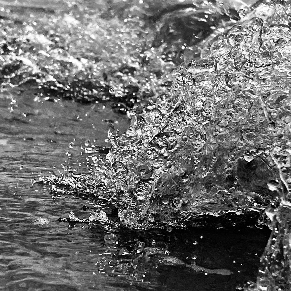 fivearchitects's tweet image. #Seaswimming