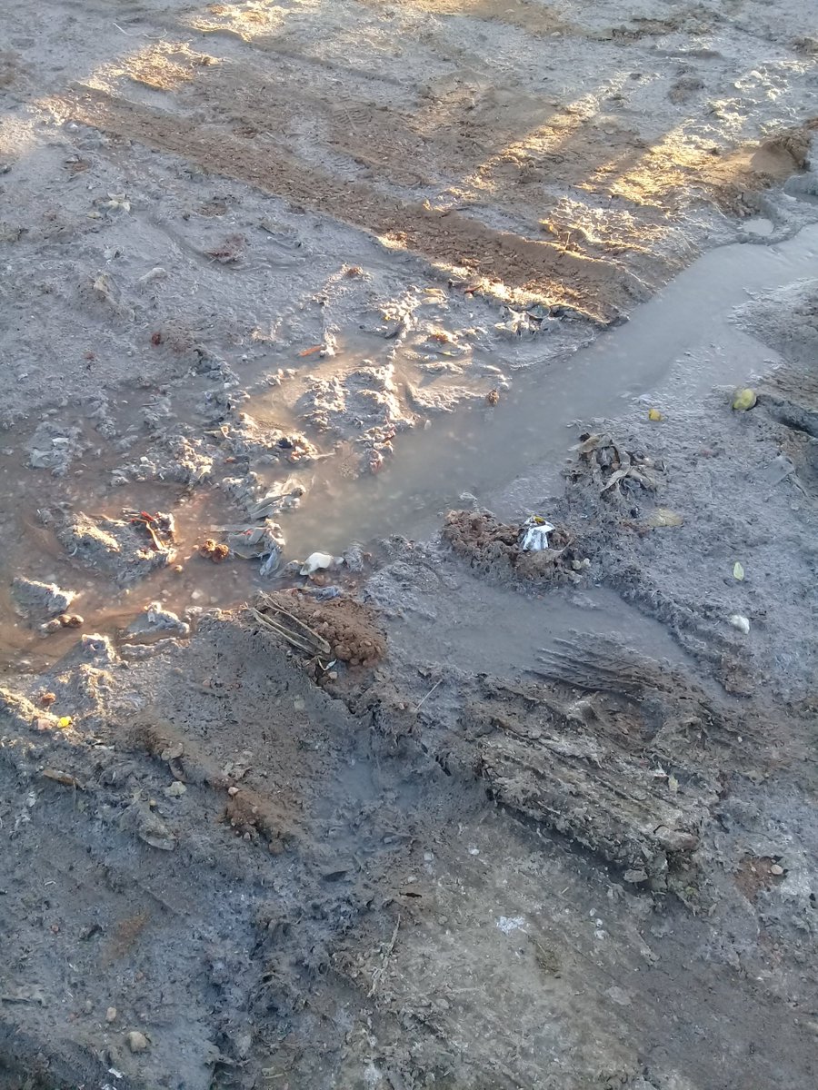 BeeMutang's tweet photo. sewage bursts flowing from a house in nketa for over a week and BCC failing to deliver their services #zimbabwe clearly nobody cares https://t.co/lh6YsPE40W