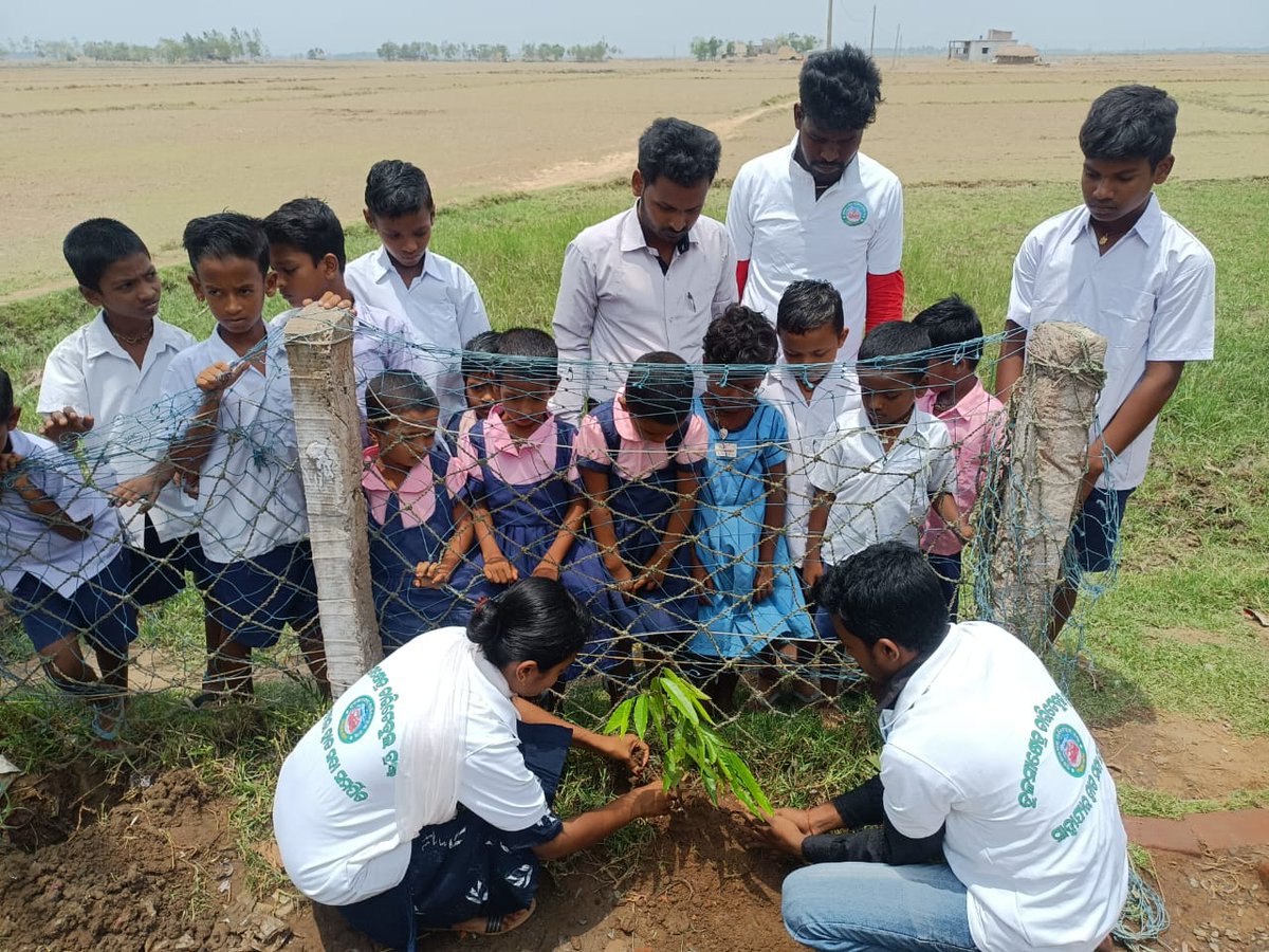 ⚫‼️⚫TULASIKHETRA CHARITABLE TRUST, ODISHA tweet media