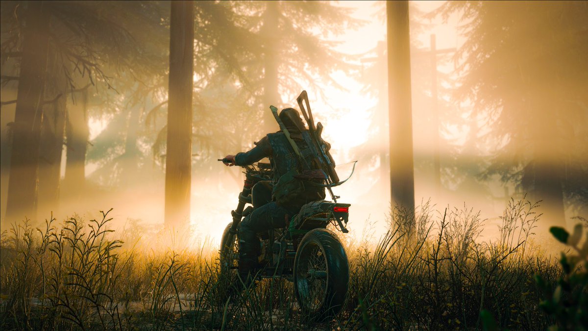 AshNeoVP tweet media