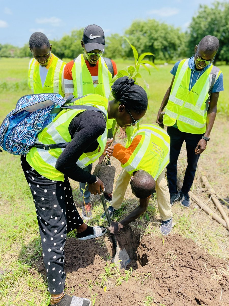 smallf14's tweet photo. Happy Environment day #environment #green #treeplanting 🌴🌳💚 https://t.co/Q5xHPMJ3Pb