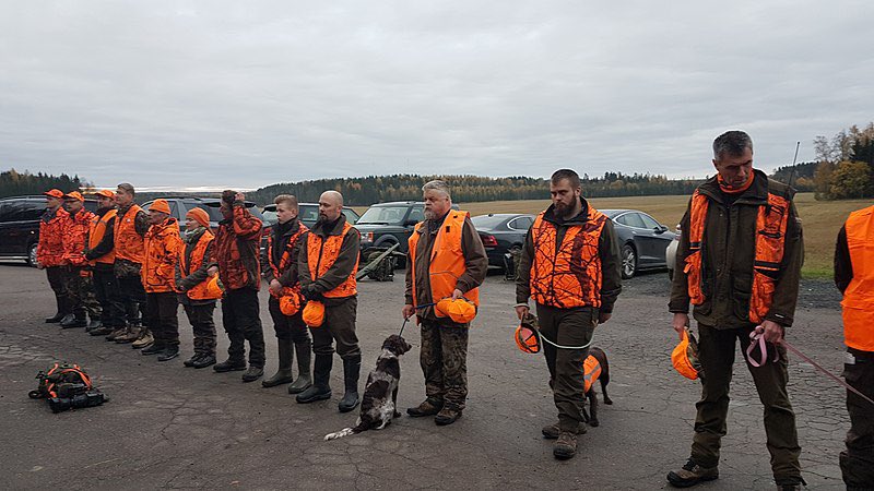 EchodelaBoucle's tweet photo. URGENT 🔴Jura : un sanglier accidentellement blessé par balle lors d’une battue aux VTT https://t.co/0SE41JMxrN