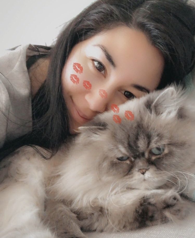 angelamorales18's tweet photo. My sister had to put her cat to sleep this morning. Me and my other sister were on video call with her while they did it 😭😭😭 #RIPWinston we love you kitty ♥️♥️♥️ https://t.co/JIg0F9laDo