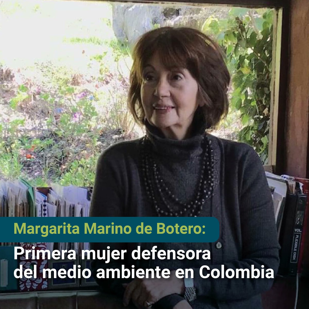 fundacionnatura's tweet photo. #DíadelMedioAmbiente Hacemos homenaje a la Primera Mujer Defensora del medio ambiente 👏
🌹 Ella es Margarita Marino una barranquillera que ha trabajado fuertemente en la defensa ambiental en Colombia
➡️¿Quieres conocer más sobre Margarita Marino? https://t.co/Dot7fXdBaE https://t.co/gL5f6Ciqsn