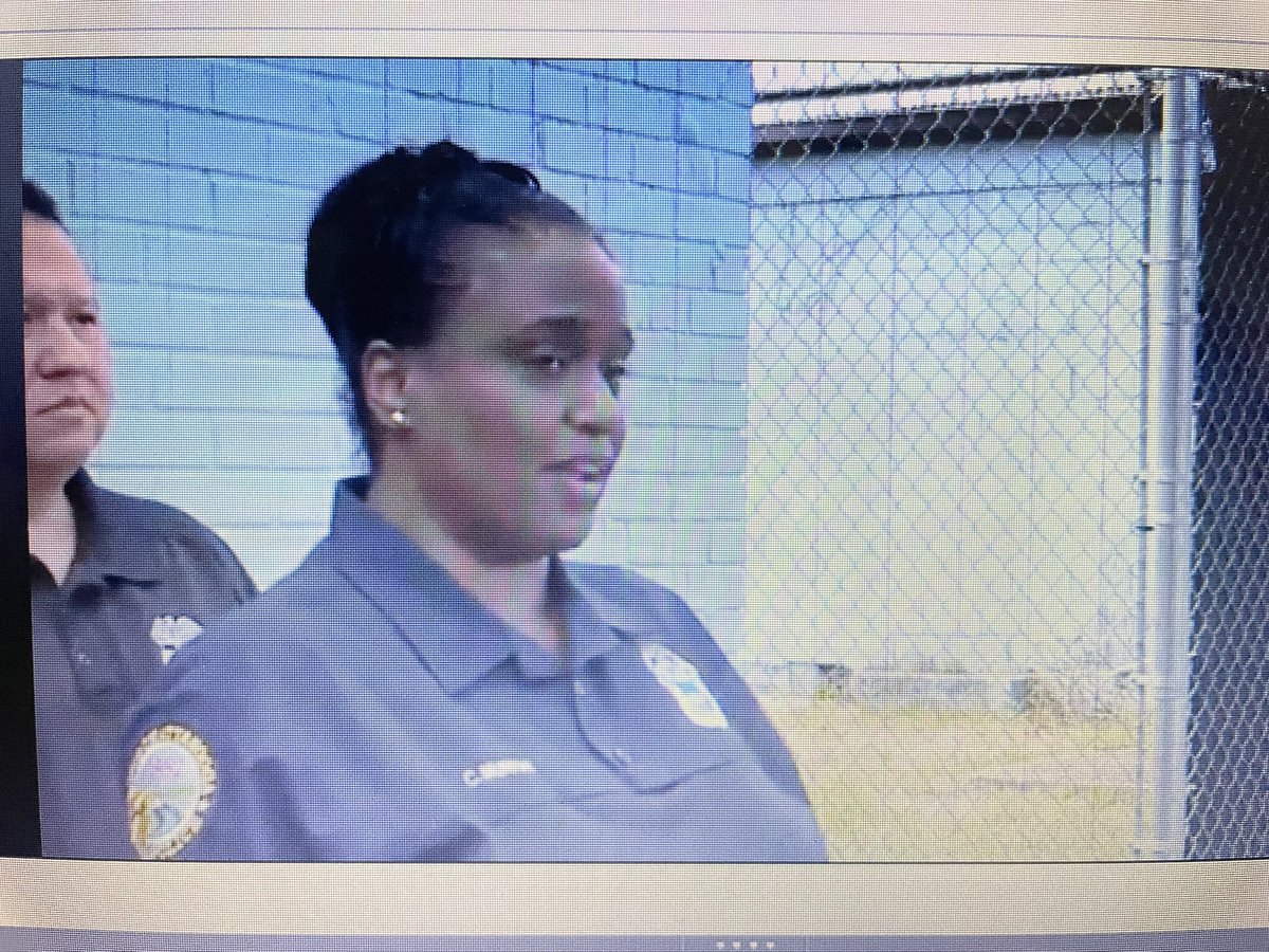 CPD says 14 people were shot and 3 people were hit by cars trying to run away. 3 people are confirmed dead