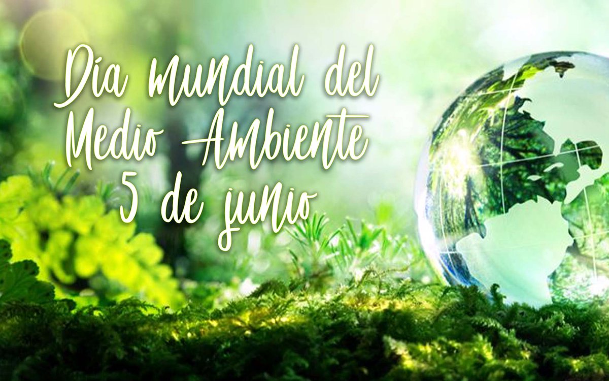 HendyPrez2's tweet photo. Día Mundial del Medio Ambiente, plataforma para crear conciencia y realizar acciones ante los temas más apremiantes, desde la contaminación marina y el calentamiento global hasta el consumo insostenible y los delitos contra la vida silvestre.#FidelEnRio+30  #UnaSolaTierra https://t.co/1v8sIb6iJC
