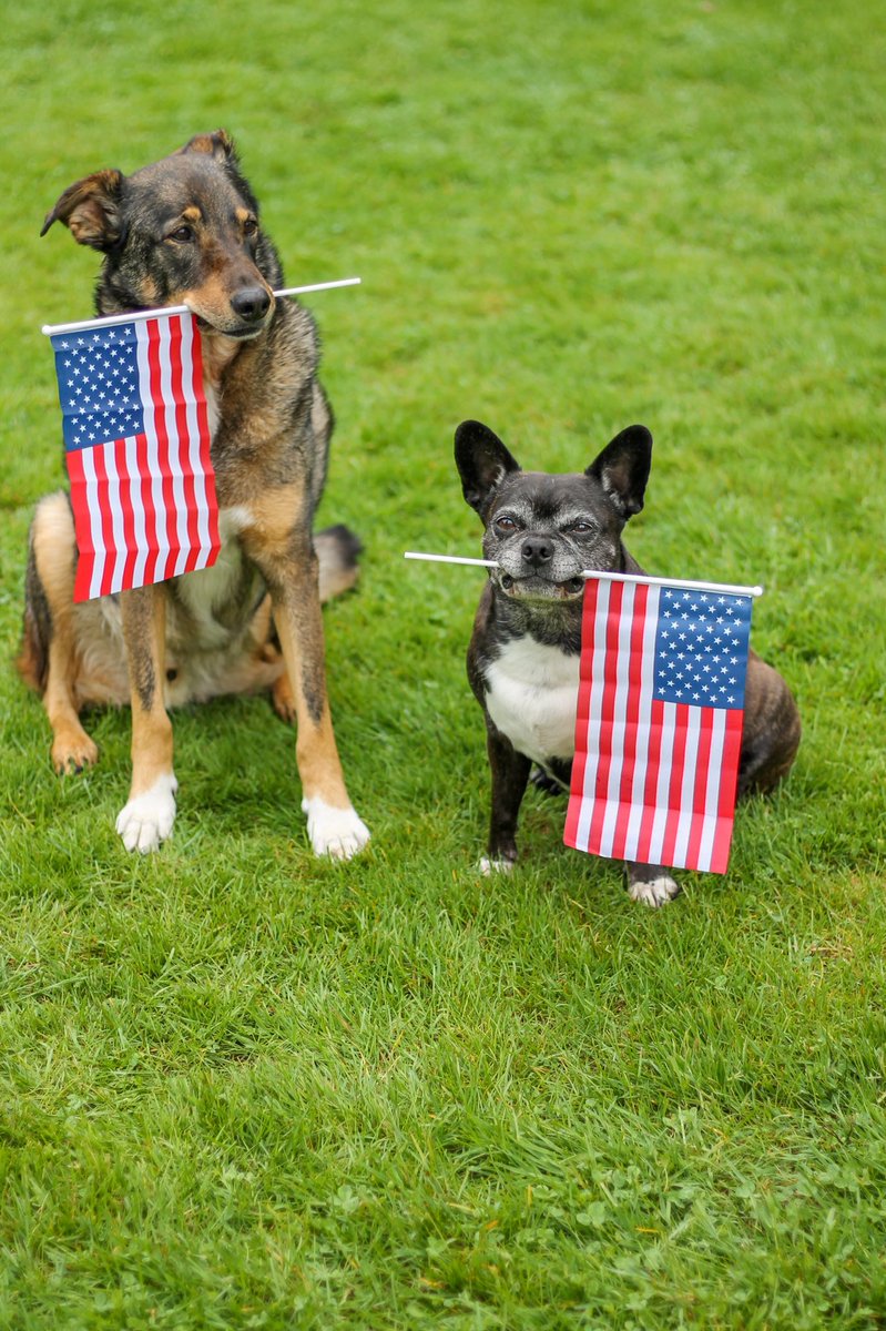 roamwiththem tweet media