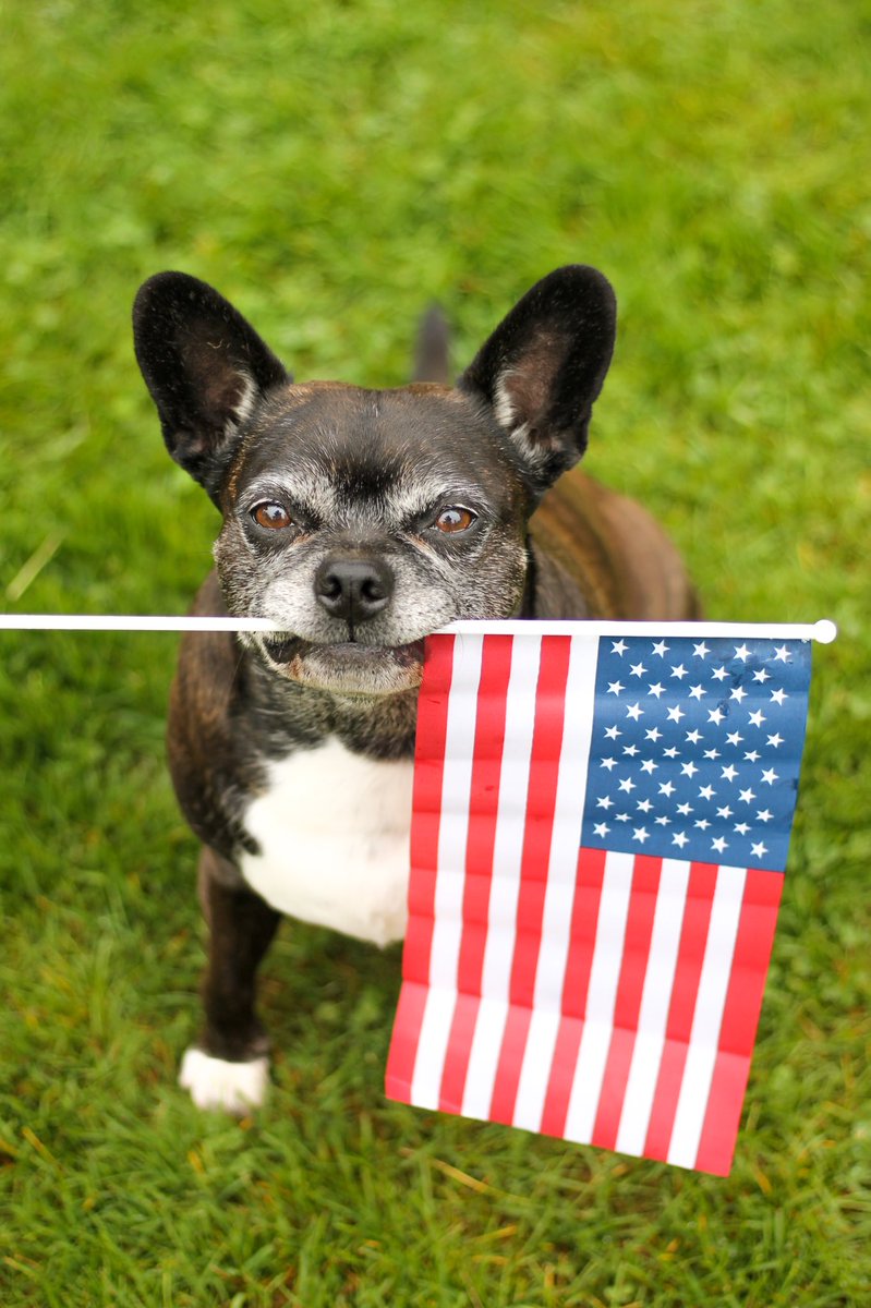 roamwiththem tweet media