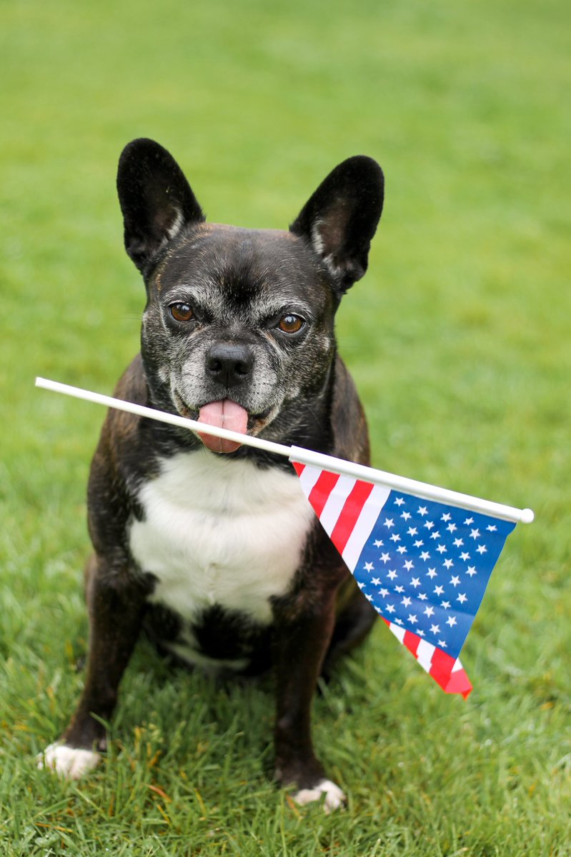 roamwiththem tweet media