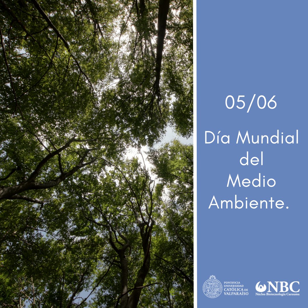 En 1972 la ONU estableció que todos los 05 de junio se celebre el Día Mundial del Medio Ambiente. Tiene por objetivo sensibilizar a la población en relación a temas ambientales, intensificando la atención y la acción política. ¡Cuidar nuestro planeta, es nuestra responsabilidad!
