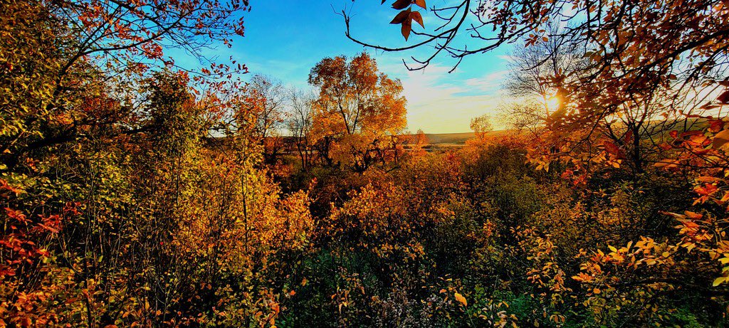 Breanne Hack tweet media