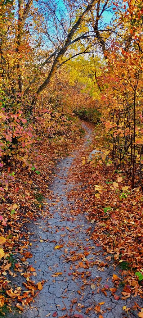 Breanne Hack tweet media