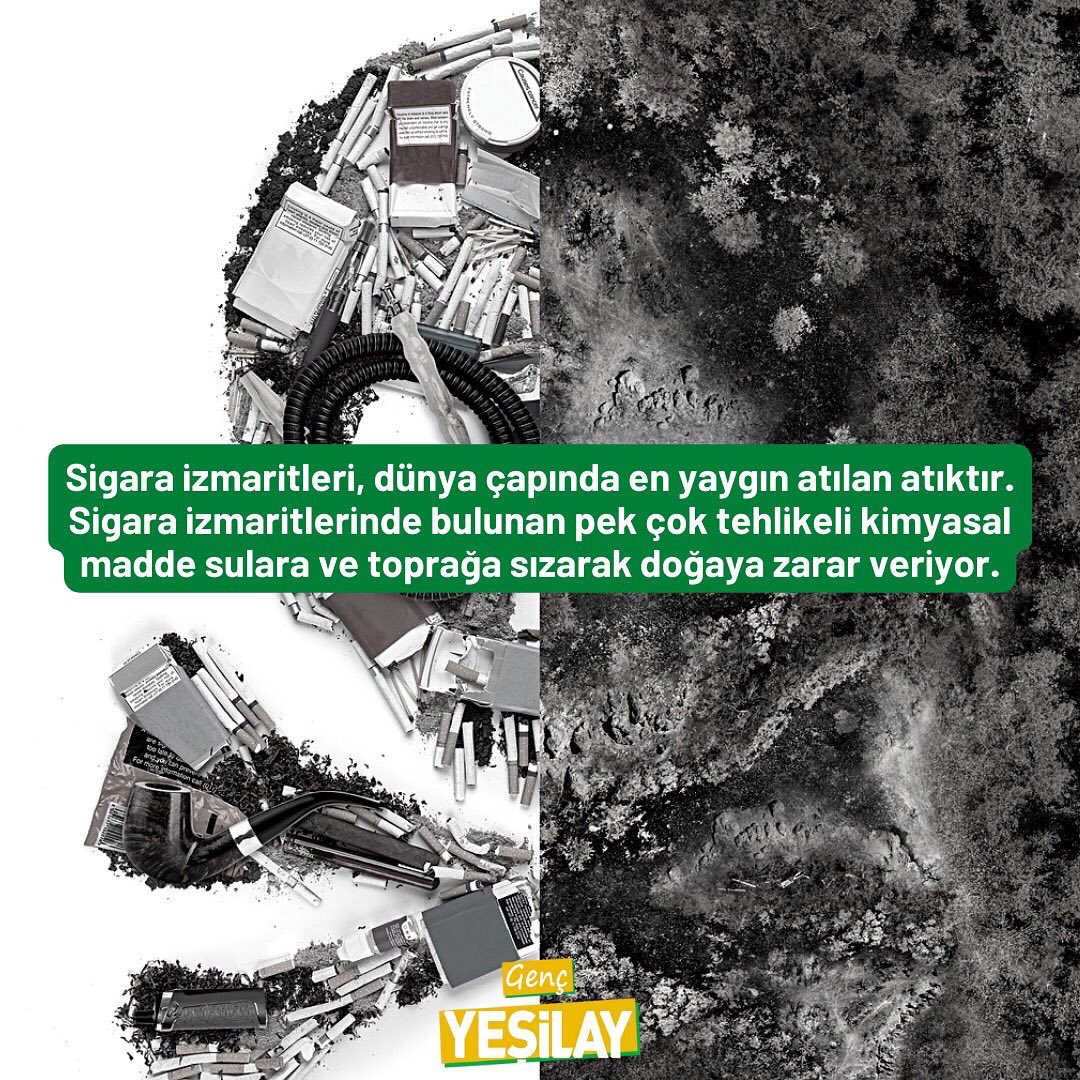 gencyesilayci's tweet photo. Sigara'nın çevreye verdiği zararları biliyor musunuz? 🚭

Temiz bir dünya geleceğe bırakacağımız en büyük miras. 🌍
Hep birlikte çevremize sahip çıkalım, doğayı koruyalım... 🧹

#TürkiyeÇevreHaftası kutlu olsun! 💚

#Yeşilay #GençYeşilay #YeşilayGönüllüleri #YeşilayVarsaHayatVar https://t.co/EQwcMFtwCM