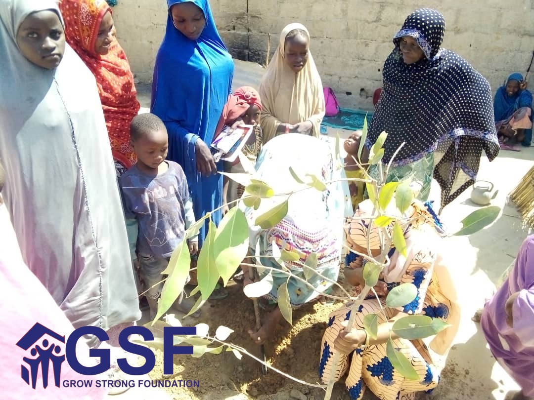 <a href="/GSF_Nigeria/">Grow Strong Foundation</a> joins the <a href="/UNEP/">UN Environment Programme</a>, the good people of Borno State, Nigeria and the rest of the world to mark 2022 World Environment Day (WED) today with the theme “Only One Earth” and calls for collective efforts for Greener environment in Borno  State.

#OnlyOneEarth  #wed2022