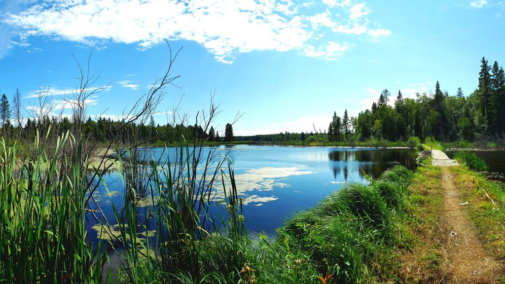 Breanne Hack tweet media