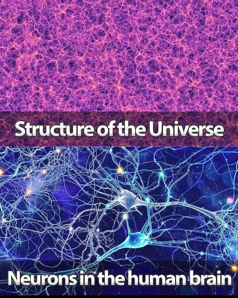 curiousity324's tweet photo. Structure of the universe and human brain ..!!
#space #NASA #universe #OnlyOneEarth https://t.co/ADMKsC42ww