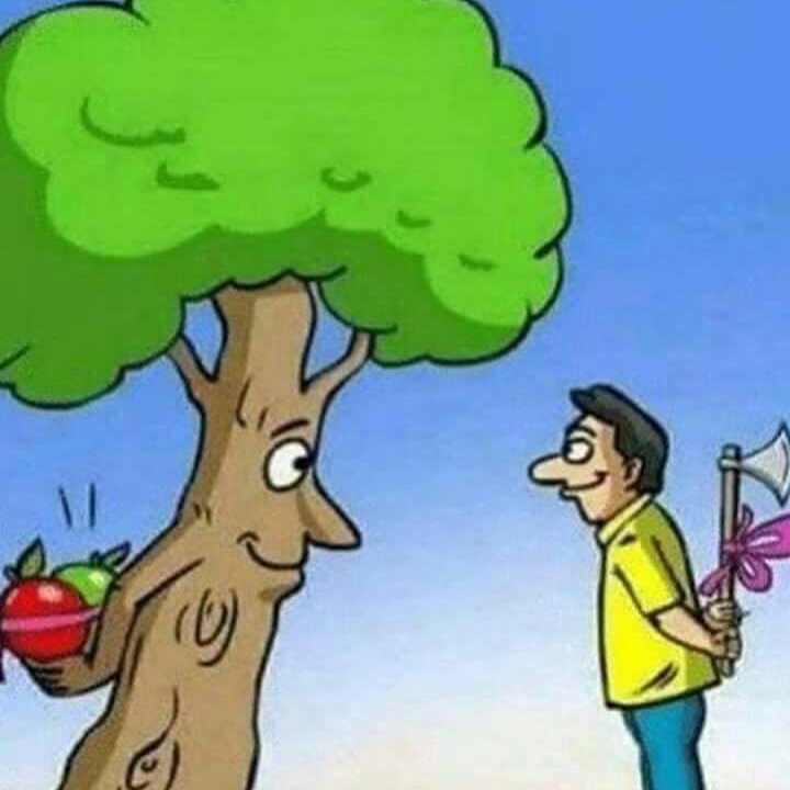 catedradelapaz's tweet photo. #05Junio / En el día mundial del ambiente, revisemos cuál es nuestra postura con nuestro entorno natural. Todo #ConstructorDePaz debe preservar el Planeta Tierra; es decir, querer, proteger y promover acciones a favor del ambiente. https://t.co/ZyqL48zEzk