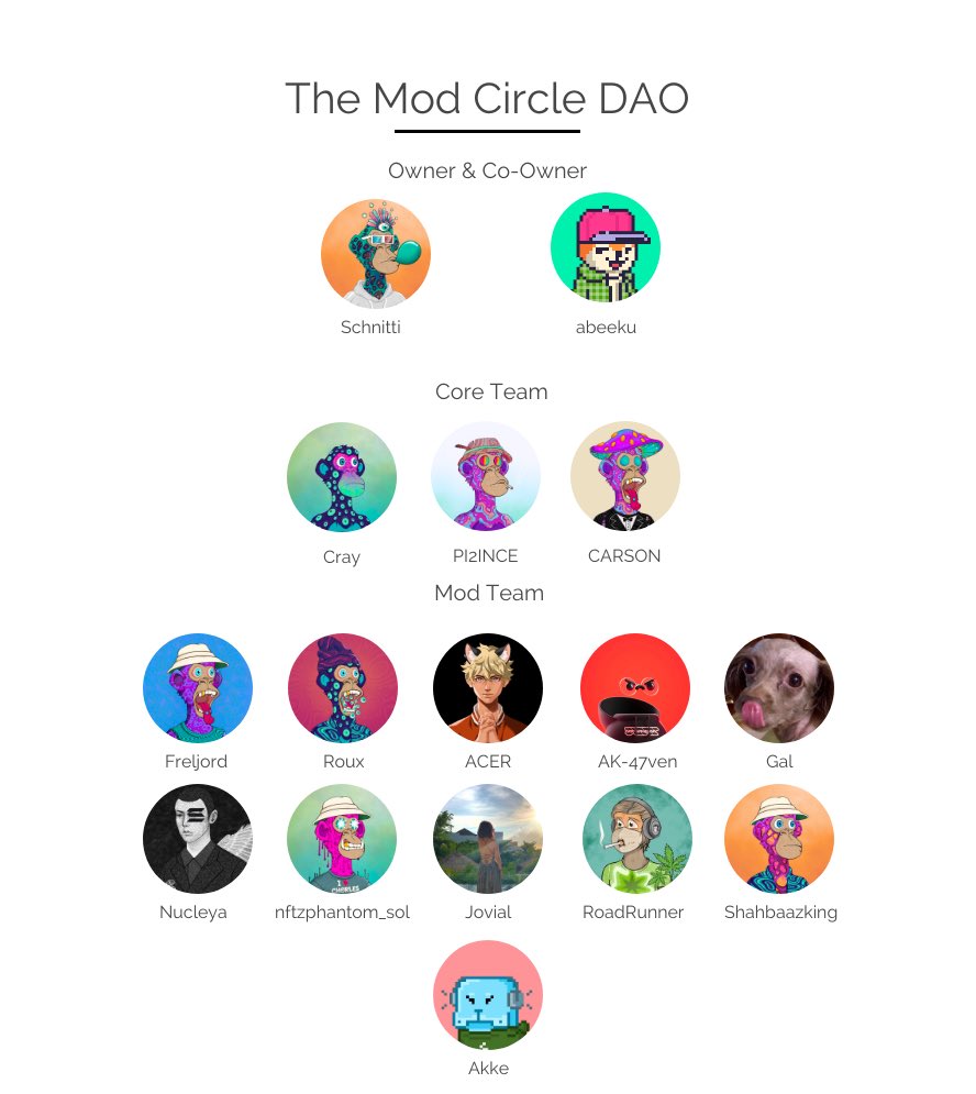 CircleModDAO's tweet image. Look at this team!