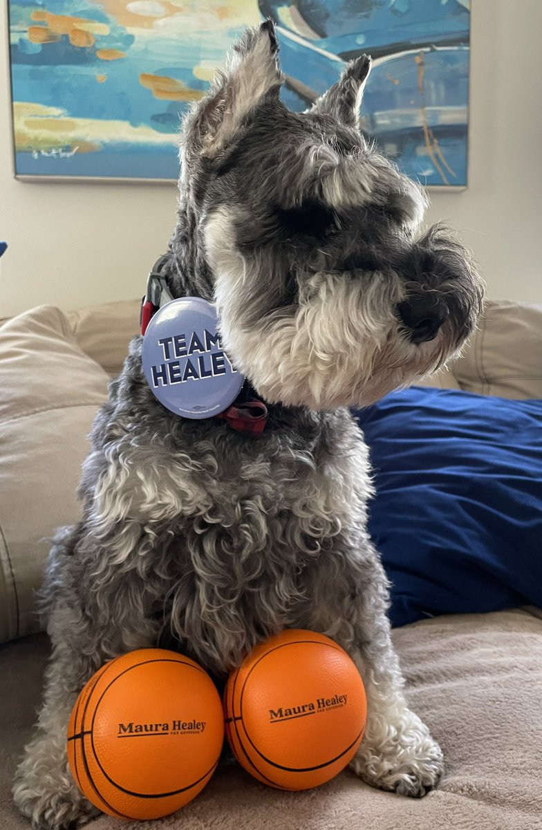 AnabelBoston's tweet image. RJ is ready to campaign #TeamHealey and Super excited about @maura_healey receiving the #MassDemsConvention nomination!! #massdems2022 #massdems22