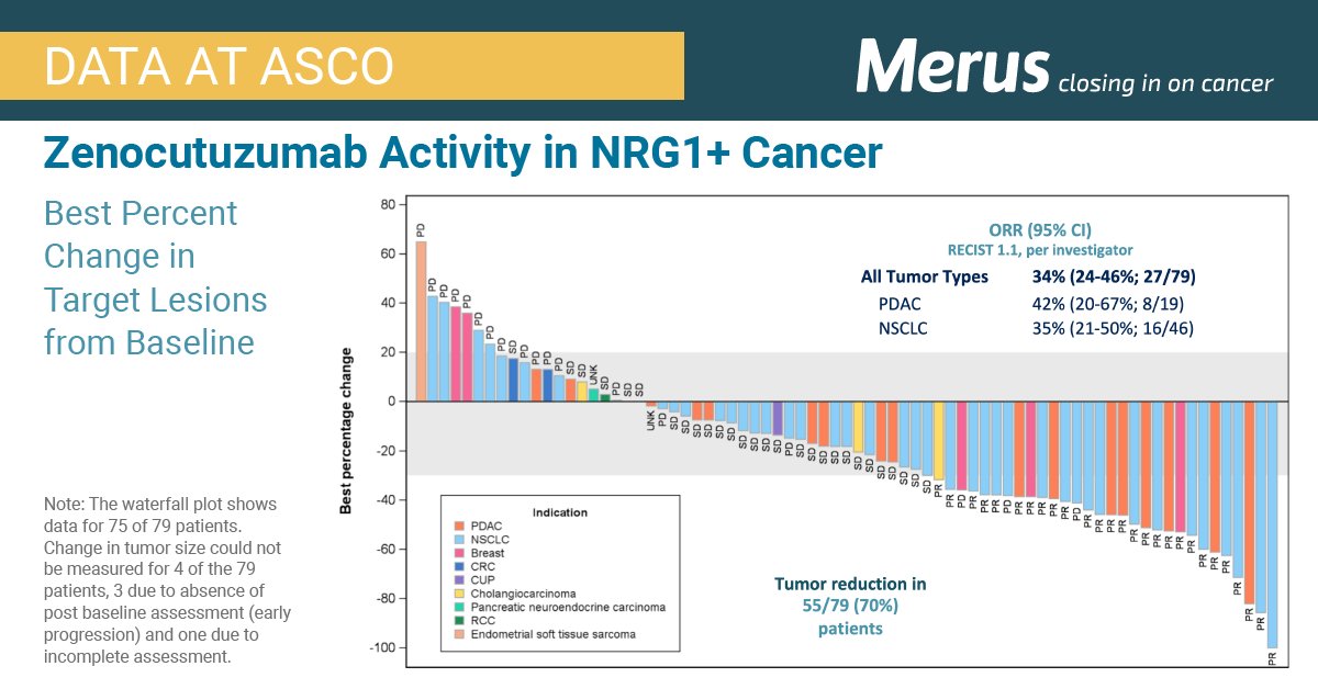 MerusNV's tweet photo. Dr. @AliSchram #MSKCC presented updated data from the #Zeno phase 1/2 eNRGy trial and Early Access Program which are assessing the safety and anti-tumor activity of #Zeno in #NRG1+ cancer at #ASCO2022 #CloseInOnCancer $MRUS 
https://t.co/jrJlixzg7u https://t.co/8Ya6fxLPX9