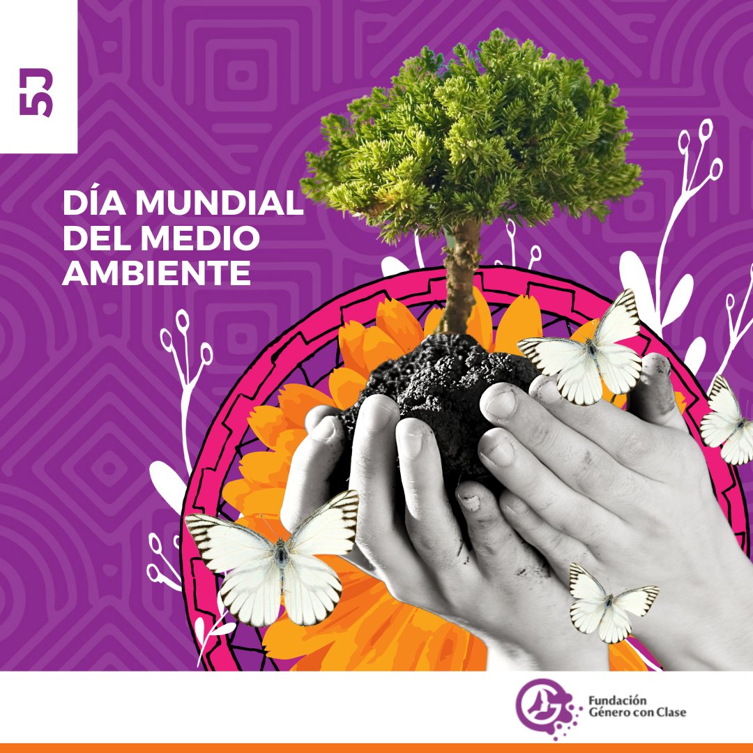 Fundación Género con Clase tweet media