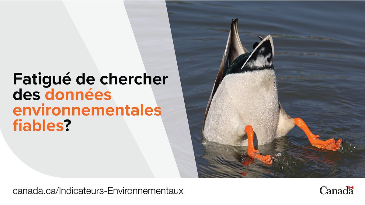 environnementca's tweet photo. Les #indicateurs canadiens de #durabilité de l’#environnement sur l’air, le #climat, l’#eau, la #nature et la #biodiversité célèbrent la #SemaineEnviro du 5 au 11 juin.
Découvrez ce que nous faisons pour aider l’#environnement : https://t.co/bhSQmUOLVn
#CESI
#EnvCan https://t.co/rQtDAn7nn5