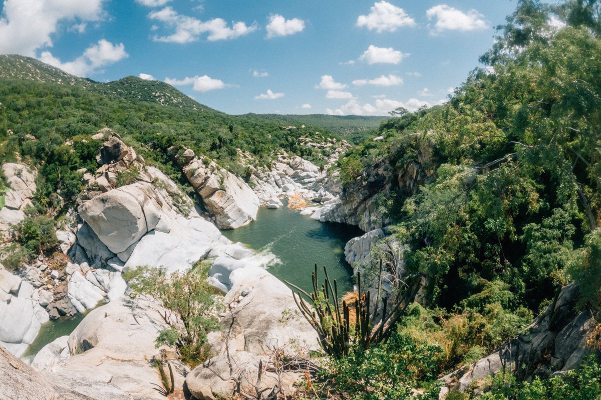 VisitaLosCabos's tweet photo. La gran diversidad de ecosistemas y biodiversidad que posee #LosCabos nos hace un destino incomparable. Visita nuestras áreas naturales protegidas y los sitios patrimonio de manera responsable.🌎https://t.co/caUyshI9y4 #DíaInternacionaldelMedioAmbiente https://t.co/aa7KEjwvba
