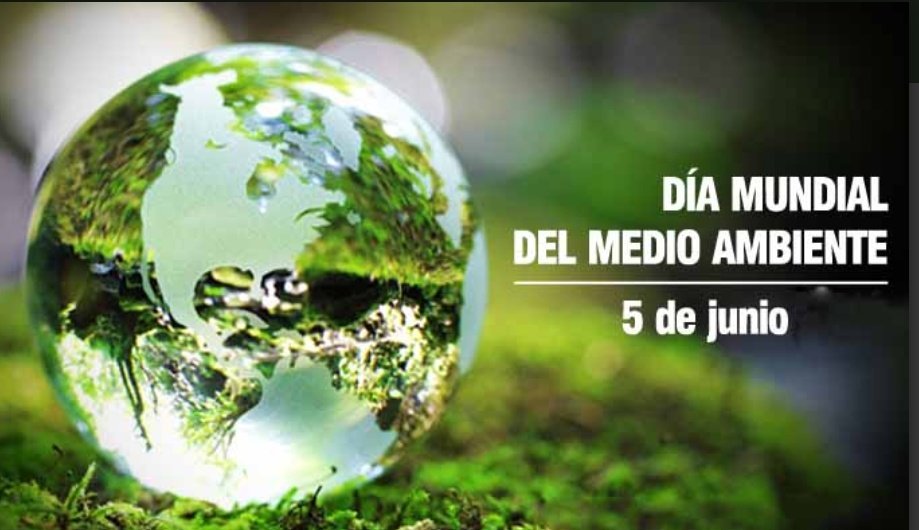 CEF25MISIONES's tweet photo. 5 de Junio DÍA MUNDIAL DEL MEDIO AMBIENTE
En el año 2022 el tema es "Una Sola Tierra". Se pretende visibilizar la emergencia que afronta nuestro planeta referida al clima. @chekielon @profesudo @ricardofabianbi @DirEducFIsica @grillo141 https://t.co/5ZuuB5jL0z