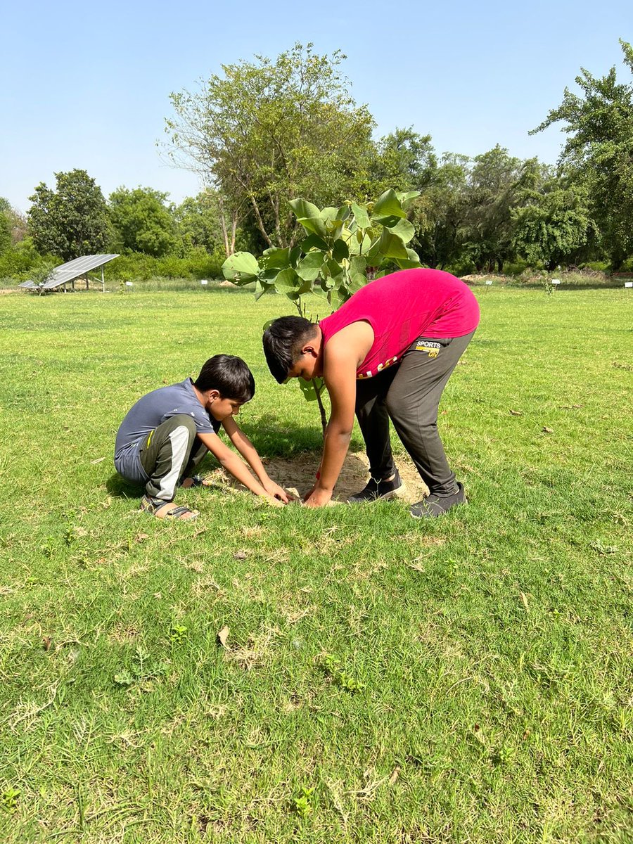 Akarshkr99's tweet photo. *Happy World Environment Day*  🥦☘️🌿🍀🪴🎍🌴. Plant more trees around you to make the earth Anandmayearth.   #Anandvan @DC_Hazaribag  @HazaribagN @BJP4Jharkhand @jayantsinha @narendramodi @PMOIndia @myogiadityanath @Manishjhzb https://t.co/wGjTOLcLCD
