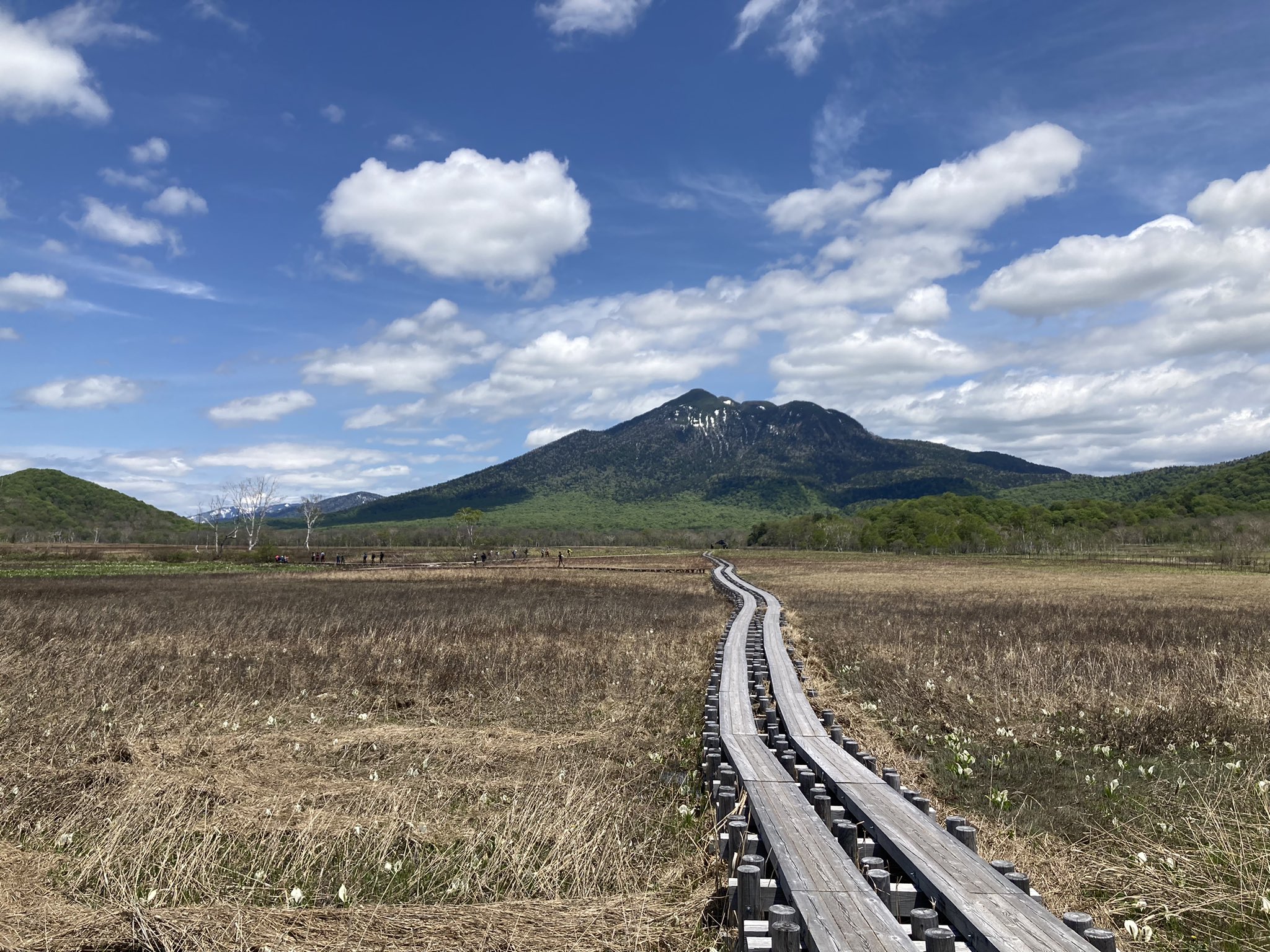 太平観光 公式 太平ツアーで尾瀬ヶ原のハイキングに行ってきました 天気予報は外れて素晴らしいハイキング日和になりました 至仏山も燧ヶ岳もバッチリ見えて新緑は美しく 水芭蕉は数が増えていました 尾瀬 尾瀬ヶ原 ハイキング 舞茸弁当
