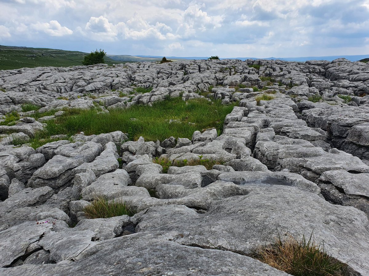 Chris Mackin tweet media