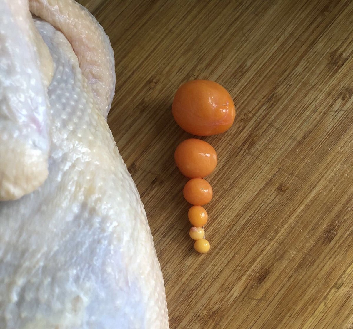 My wife bought a chicken for supper. The unlaid eggs are a bonus!