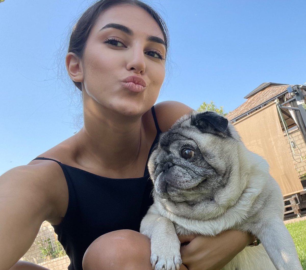 👑 SOL PRINCESS 🛡️ tweet media