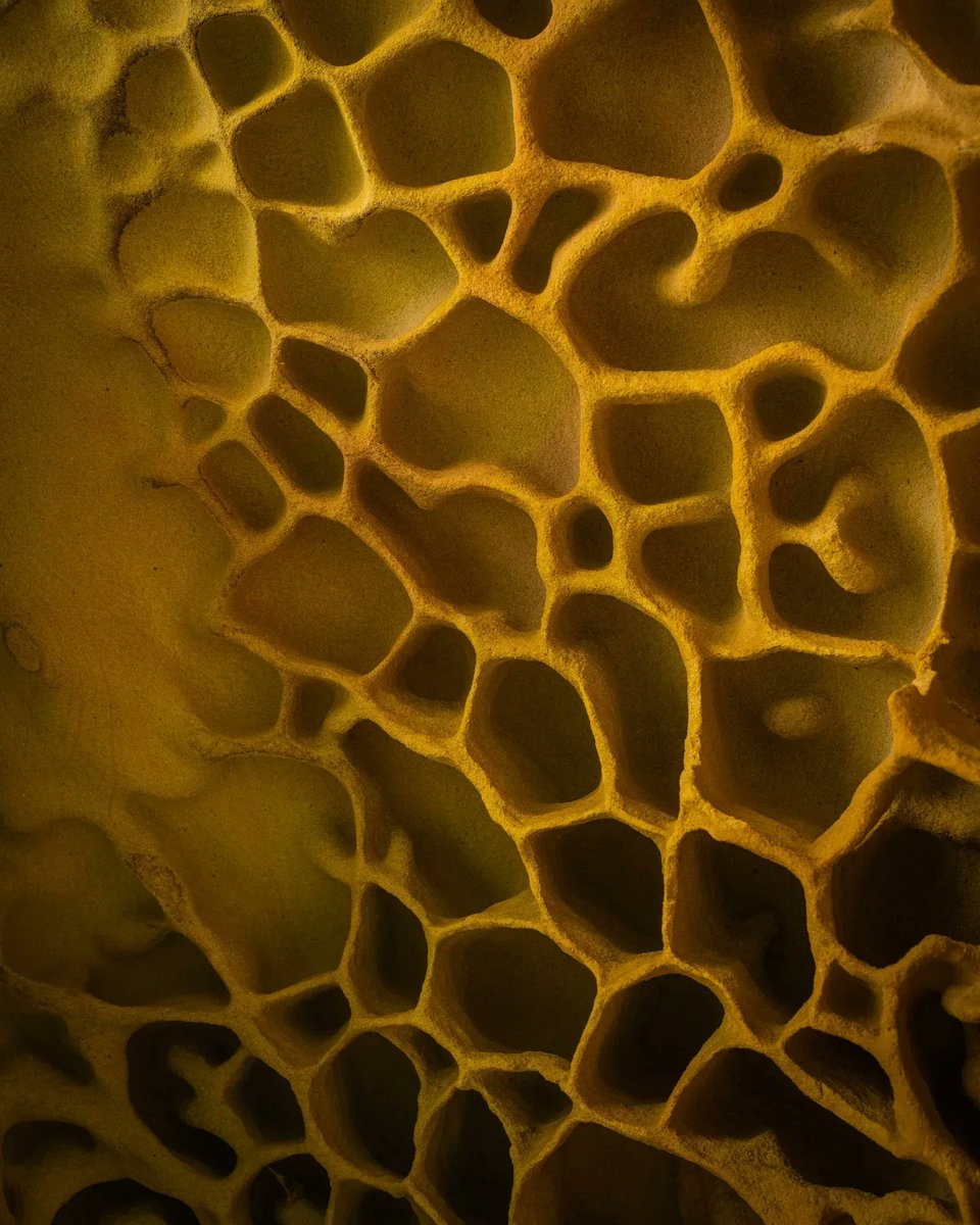 Pol Solé tweet media