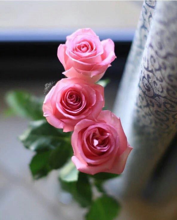 shadi7020's tweet photo. العقيم حقًا من يعجز عن إنجاب كلمة طيبـة https://t.co/8PwT4EMNiV