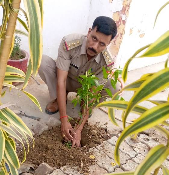 SandipSingh07's tweet photo. #PRAYAGRAJ_POLICE

#WorldEnvironmentDay2022 के अवसर पर थाना कोरांव पुलिस कर्मियों द्वारा #स्वच्छपर्यावरण और #सुरक्षितभविष्य हेतु वृक्षारोपण किया गया।
 
#UPPolice 
#विश्वपर्यावरणदिवस_2022 https://t.co/U8pLhg8cR2 https://t.co/YXnkLiG9Er