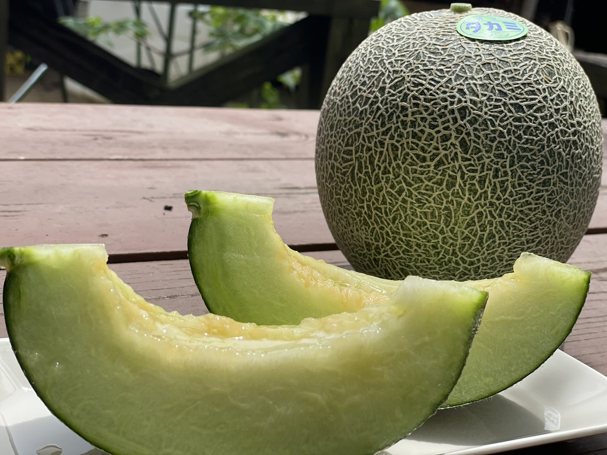 kadan_farm_'s tweet photo. お待たせ致しました🎉
🎁プレゼント企画🎁です🥹

【タカミメロン２玉🍈】を3名の方へプレゼント🎁

⭐︎応募方法⭐︎
1️⃣@kadan_farm_  をフォロー
2️⃣このツイートをRT
 
この機会に当園自慢のメロン🍈味わってみてはいかがでしょう😊
沢山のご応募お待ちしております😆❣️

※締め切り6月12日(日)23:59 https://t.co/r72kpkefEv