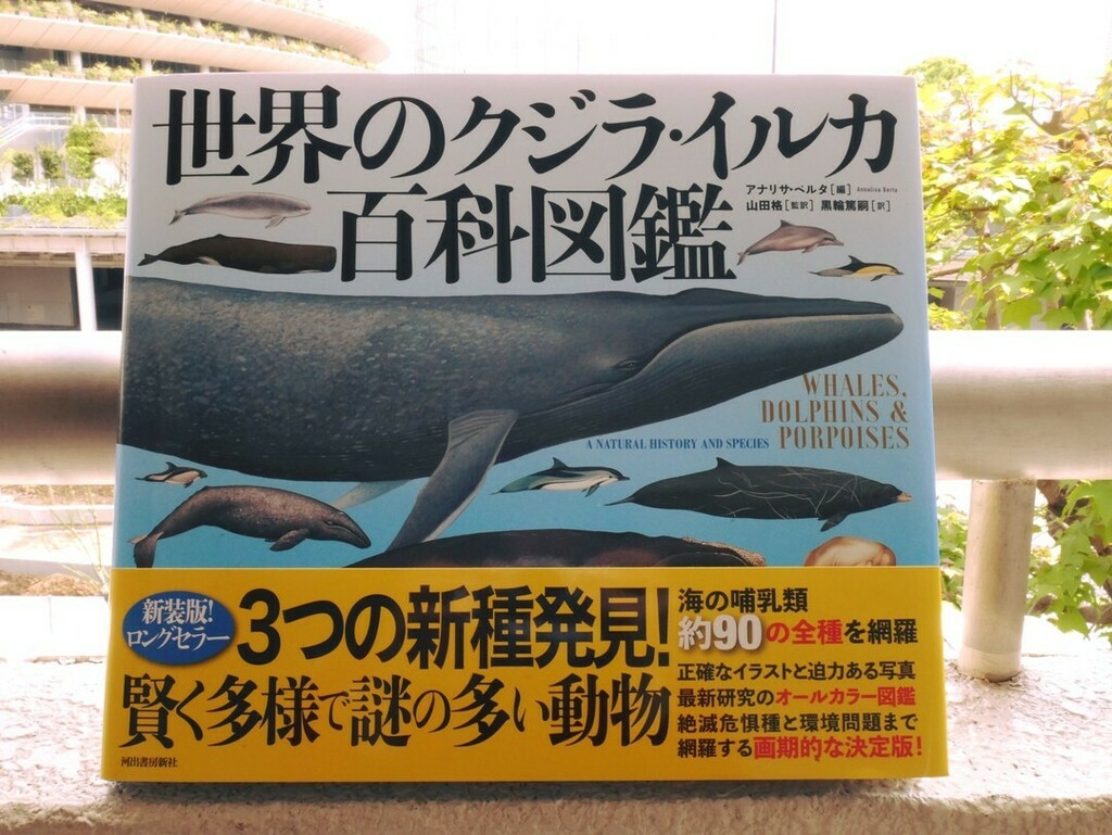 تويتر 河出書房新社 新雑誌 スピン Spin 予約受付中 على تويتر ３つの 新種発見 近縁の新種 クジラ 3種発見 追記掲載 90種類以上の全 クジラ イルカ の精確なイラスト 詳細な生態解説と写真で迫る 最も信頼できるロングセラー図鑑の新装版 世界の