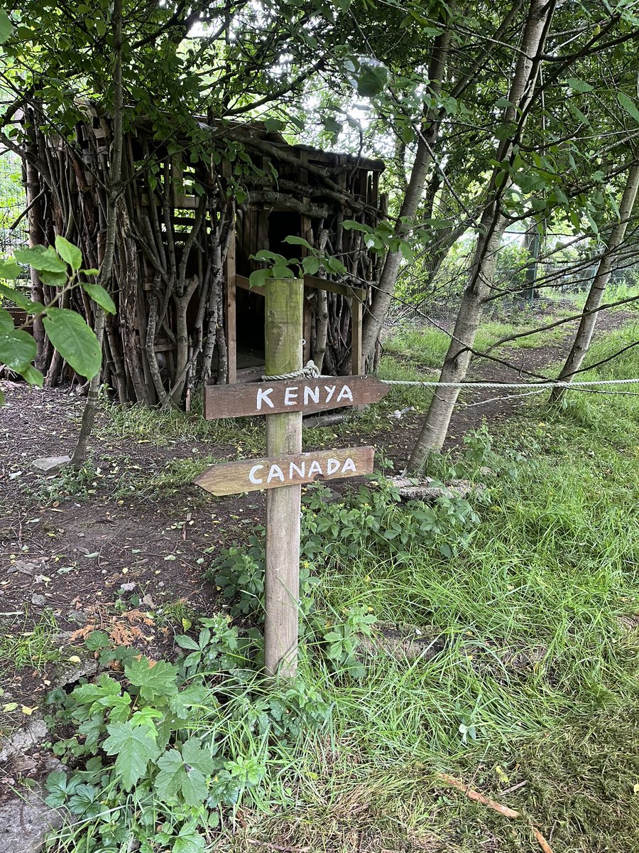 TAS4L's tweet photo. And finally, before we start team building again tomorrow, the #ByerleyParkPrimary Adventure forest has been maintained ready for adventures for kids from Newton Ayecliffe.Built two and a half years ago and we’ve continued look after it since. #AdventureForest #forestschool https://t.co/OCSNx68sVX
