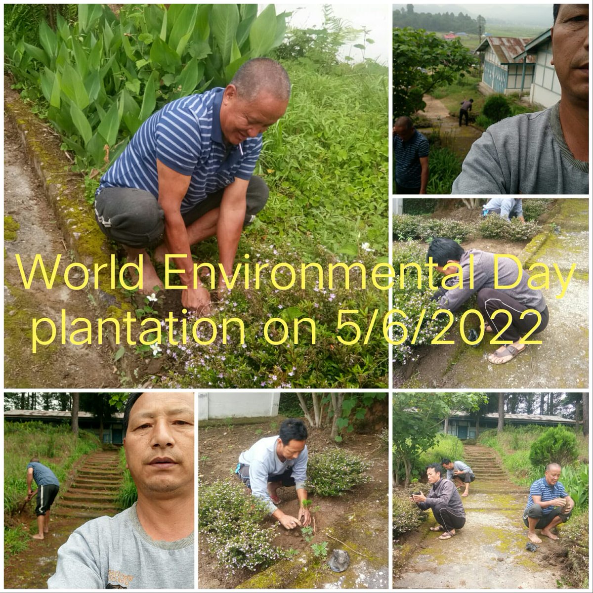 DiproZiro's tweet photo. Plant a tree for a better tomorrow..

Massive tree plantation organised in  Lower Subansiri District on the occasion on World Environment Day.

#WorldEnvironmentDay2022 #PlantATree https://t.co/WEWTmSQC6k