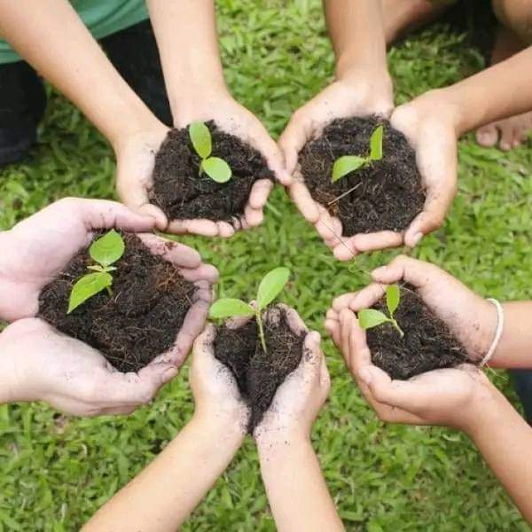 agnes_becerra's tweet photo. Buenos días #Cuba 🇨🇺 El Medio Ambiente tiene su día y es hoy. Sembraré plantas y amor. Feliz domingo. https://t.co/yI3otO8it6