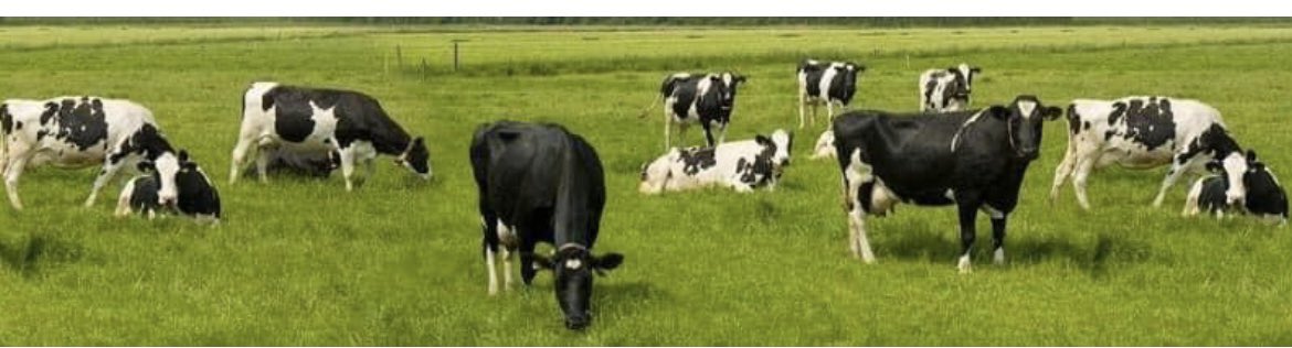 Sağlıklı bir yaşam, sürdürülebilir bir gelecek için temiz çevre ve tahrip edilmemiş doğa, temiz ve doğal süt ve et ürünlerinin de güvencesidir. Bu farkındalığı yaratması dileği ile “Dünya Çevre Günü” kutlu olsun.