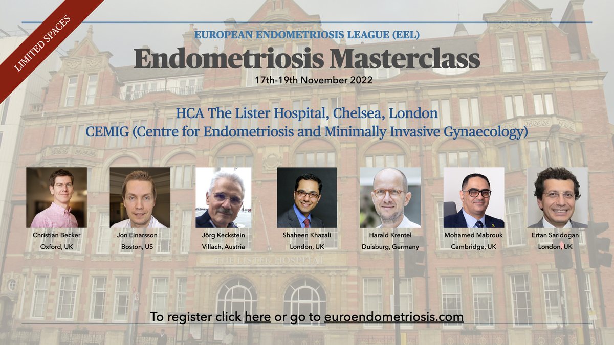 shaheenkhazali's tweet photo. Putting together the scientific program for this exciting #endometriosis masterclass. We have an exceptional international faculty and places are limited to 15 delegates (9 left now). register here: https://t.co/cjX6KN9pAB https://t.co/CCGQVtdXsp